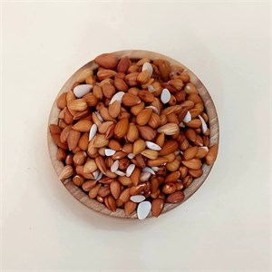 مغز بادام کوهی شور