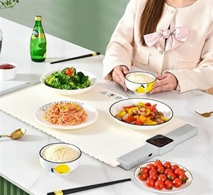 غذا گرم‌نگهدار مدل سفره برقی