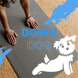 اکانت پرمیوم down dog - برنامه ورزشی و یوگا