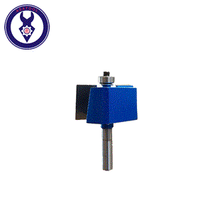 تیغ اور C.S 825 انسی