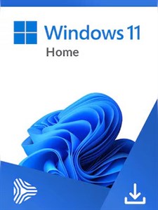 لایسنس Windows 11 Home OEM | فعال‌سازی مادام‌العمر ویندوز