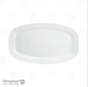 دیس کباب چینی زرین مدل هتلی 49 سایز 40