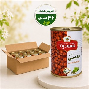   کنسرو عدسی شهدین - 370 گرم