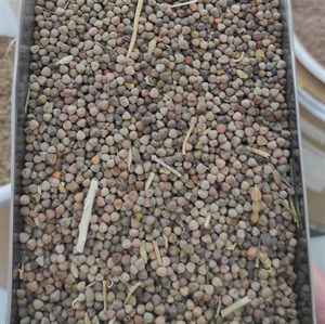 گاودانه اعلاء