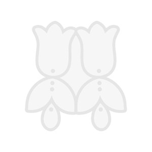 قالب گوشواره لاله