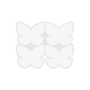 قالب شیت پروانه 02