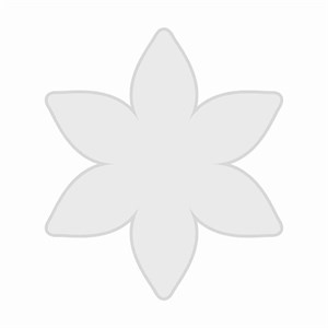 قالب گل ۶ پر