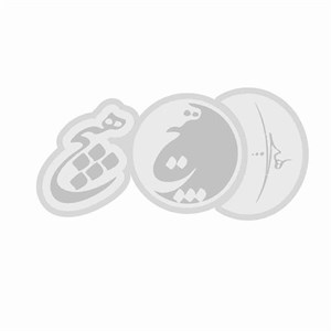 قالب شیت هیچ