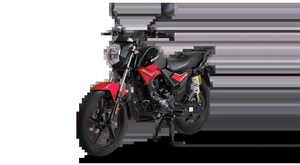 موتور سیکلت DS 200 مدل 1404  ترمز ABS