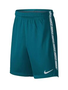 شلوارک ورزشی کوتاه مردانه Dry Squad - نایکی