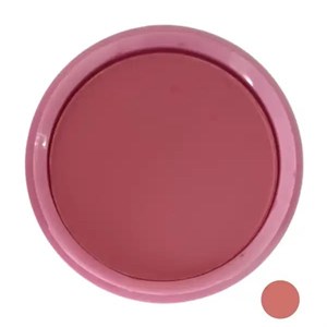 رژ گونه تراکوتا نوت کد 01
