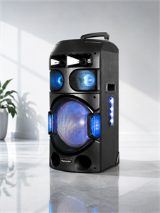 اسپیکر خانگی Maxeeder سری -MX-DJ1121-sa