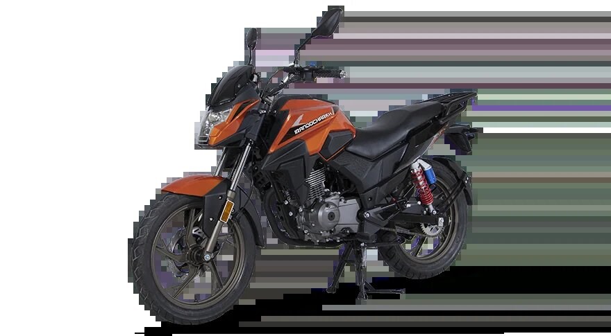 موتوز سیکلت DS230