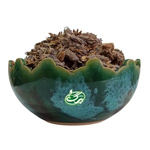 اسطوخودوس خارجی