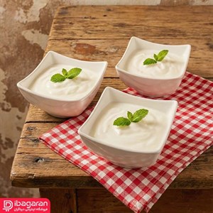 پیاله سرامیکی آوینا کارولین مدل 279