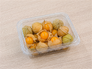 فیسالیس | Golden Berry