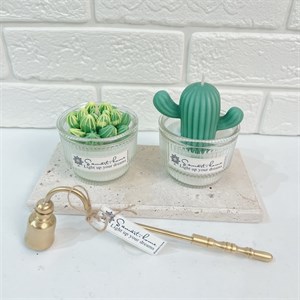 شمع معطر و دستساز کاکتوس تک - خرید مستقیم از تولیدکننده
