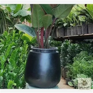 گلدان فایبر گلاس مدل گلابی کوچک درجه 1،بسیار شیک و زیبا | کد: ZNB-W16