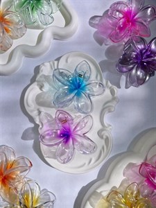 پلومریای شیشه ای - کد 897