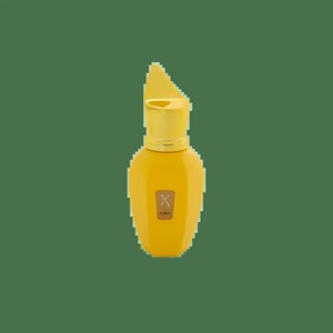 ادوپرفیوم نایس Nice مدل زرجوف کورو Xerjoff Coro حجم 30 میل