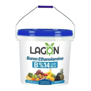 کود تخصصی کلات بور لاگون (اتانول آمینه)
