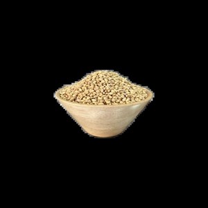گندم 200 گرمی