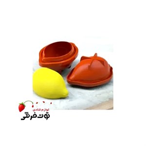 قالب سیلیکونی لیمو سه بعدی