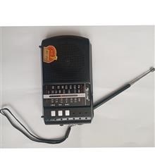 رادیو سه موج گولون Icf-8