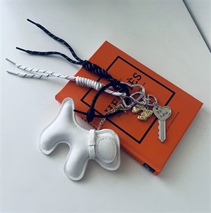 چارم puppy