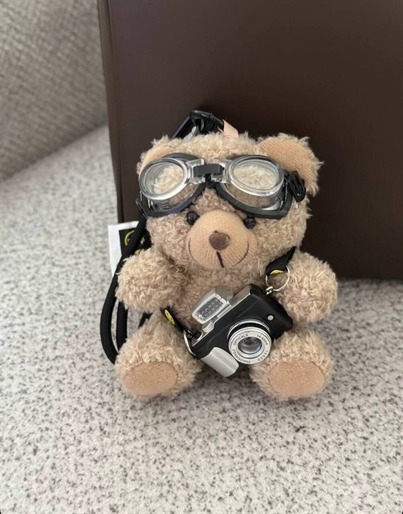 چارم بگ pilot teddy