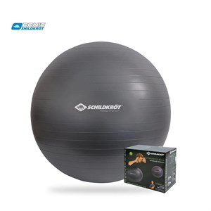 توپ جیم بال برند شیلدکروت SCHILDKROT GYM BALL