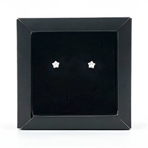 پیرسینگ گوش نقره مدل ستاره