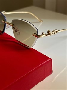 عینک مستر کوالیتی پارت امارات کارتیر فوتوکرومیک کد 73939 Cartier