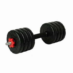 دمبل گرد قابل تنظیم 8 کیلوگرم رادیس فیت مدل DVP8-1000 One Handle بسته یک عددی