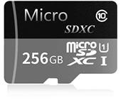 Generic Micro SD SDXC Card 256GB High Speed Class 10 Memory Card with Micro SD Adapter