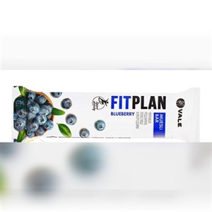 غلات بار موسلی با بلوبری فیت پلن (35 گرم) fit plan ا fit plan