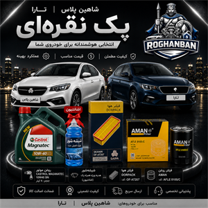 پک نقره‌ای تعویض روغن EF7 شاهین پلاس و تارا