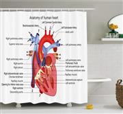 Ambesonne Educational Shower Curtain, Medical Structure of The Hearts Human Body Anatomy Organ Veins Cardiology, Fabric Bathroom Decor Set with Hooks, 75 Inches Long, Coral Red Blue