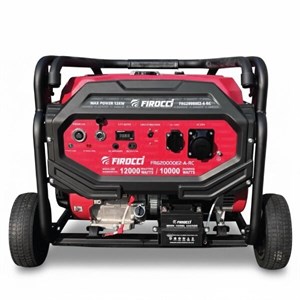 موتور برق فیروچی 12 کیلووات مدل FRG20000E2ARC