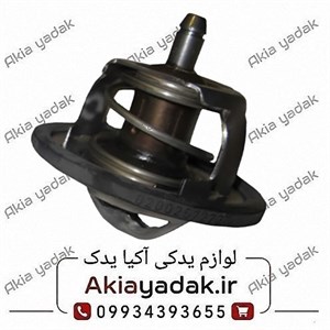 ترموستات مگان ۲۰۰۰ اصلی