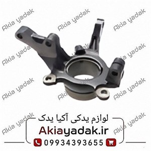 سگدست راست شاهین