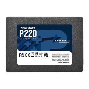 اس اس دی اینترنال پتریوت مدل P220 ظرفیت 256 گیگابایت