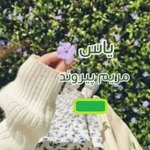 دانلود pdf رمان راه سبز اثر مریم پیروند - ویستابال