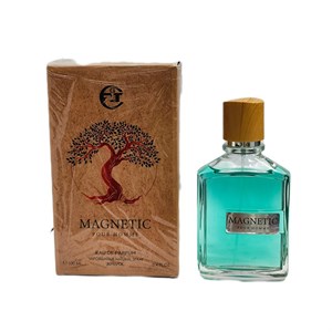 عطر مردانه مگنتیک 9785