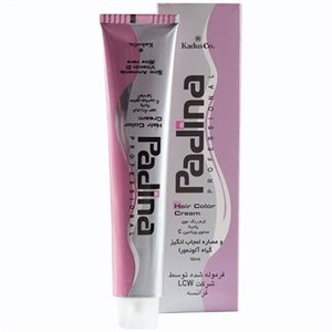 رنگ مو پادینا Padina سری خاکستری A8 شماره 9.99 بلوند خاکستری خیلی روشن حجم 100 میل