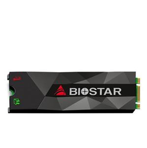 حافظه اس اس دی بایوستار مدل ام 500 با ظرفیت 512 گیگابایت Biostar M500 512GB PCIe Gen3x2 M.2 2280 Internal SSD Drive