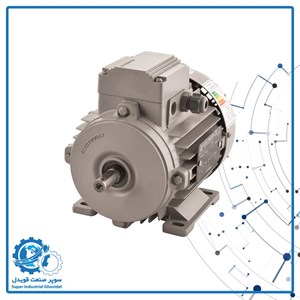 الکتروموتور الکتروژن سه فاز 0.25 کیلووات 3000 دور