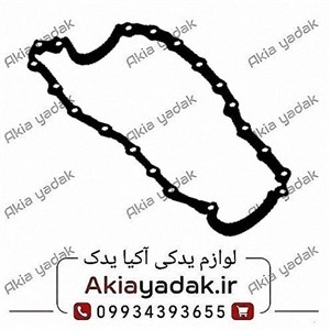 واشر کارتل ساندرو