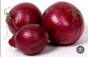 بذر پیاز خارجی قرمز(بسته 10 گرمی)