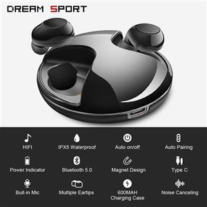 DREAM SPORT True Wireless Earbuds with Portable Charging Case Bluetooth 5.0 Stereo Truly Headphone Built Mic for Sport Waterproof Noise Canceling Earphone Black 